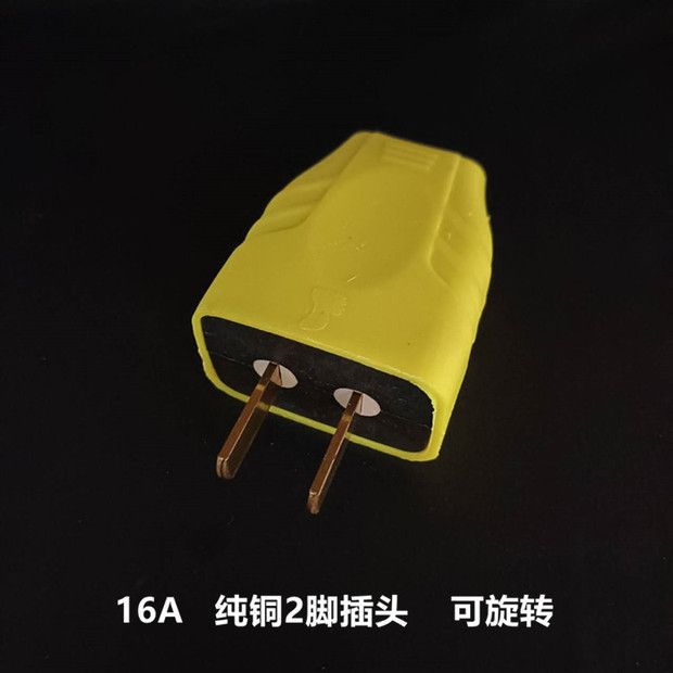 大功率家用可转动16A二极不带线通用型厚款一体纯铜固定二脚插头