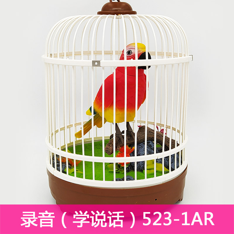 Sesión de grabación de aprendizaje simulación de discurso Loro pájaro controlado por voz Inducción infantil decoración fábrica al por mayor