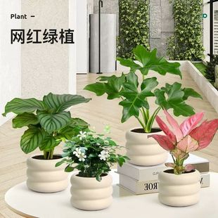 ���Wins������Gֲ�҃�С���Կ͏d�lؔ�������k��������ֲ��[��