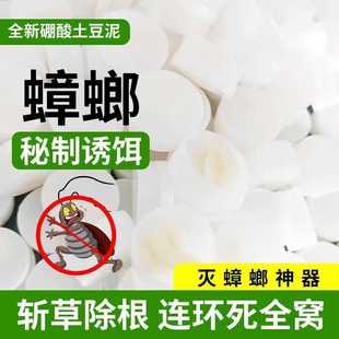 ����������۲͏d����ș��ɰ���ßo��ȫһ偶ˏN�����Ü����