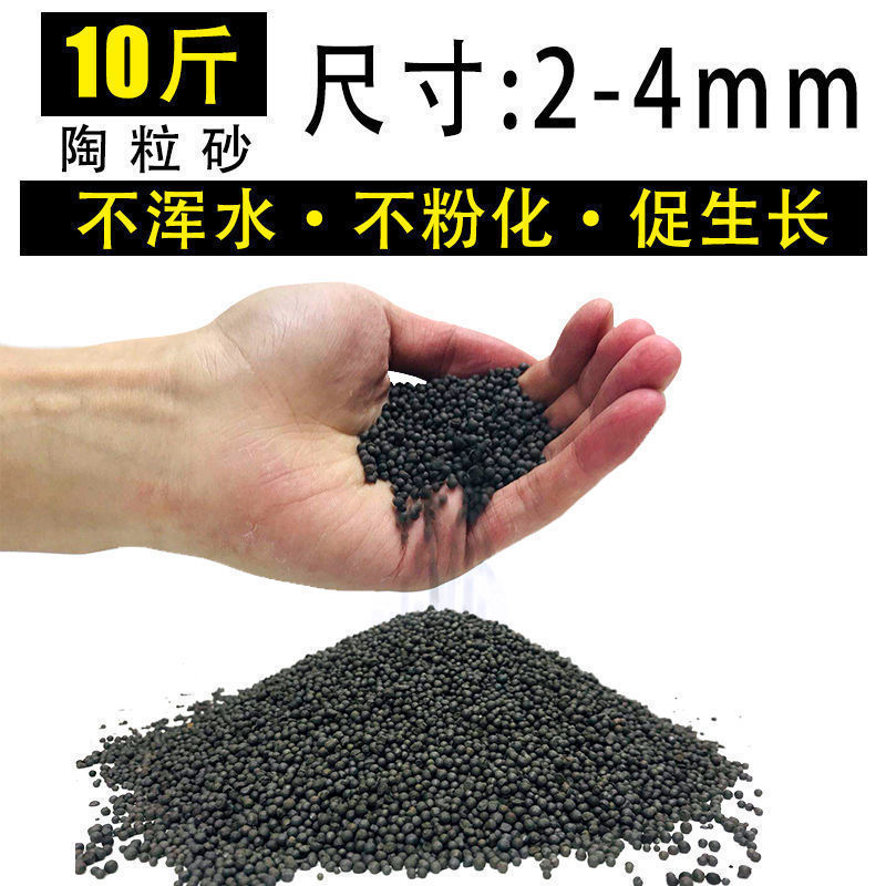 嘘援娉ユ壒鍙戙€愪笉舞枃丸瀀耣ャ€戦櫠绮掔戞枸shoulder a few搴琴爞更曟曟曘昘棌绠 argue