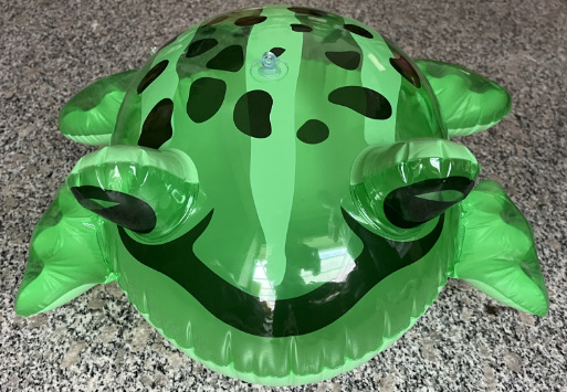 새로운 스타일 거짓말 쉬운 개구리