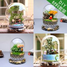 微景观瓶微观苔藓绿植物玻璃组合盆栽生态瓶DIY材料包盆景套装