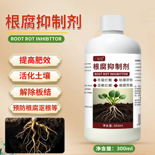 Root Rot Inhibitor, Sudden Death of Rotten Roots, Stem Base Rot, Dead Seedlings, Stiff Seedlings, Rapid Strengthening of Roots, Purification of Soil, Disease-Resistant Water-Soluble Fertilizer