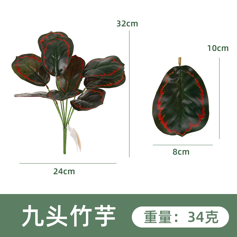 YH1265-300-9 아홉 머리 화살 뿌리 1 #