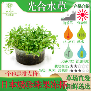 �ձ�������������~��ˮ�ݻ��w���l�쾰�b�ˮ�����^�pǰ���ݲ�ƺ