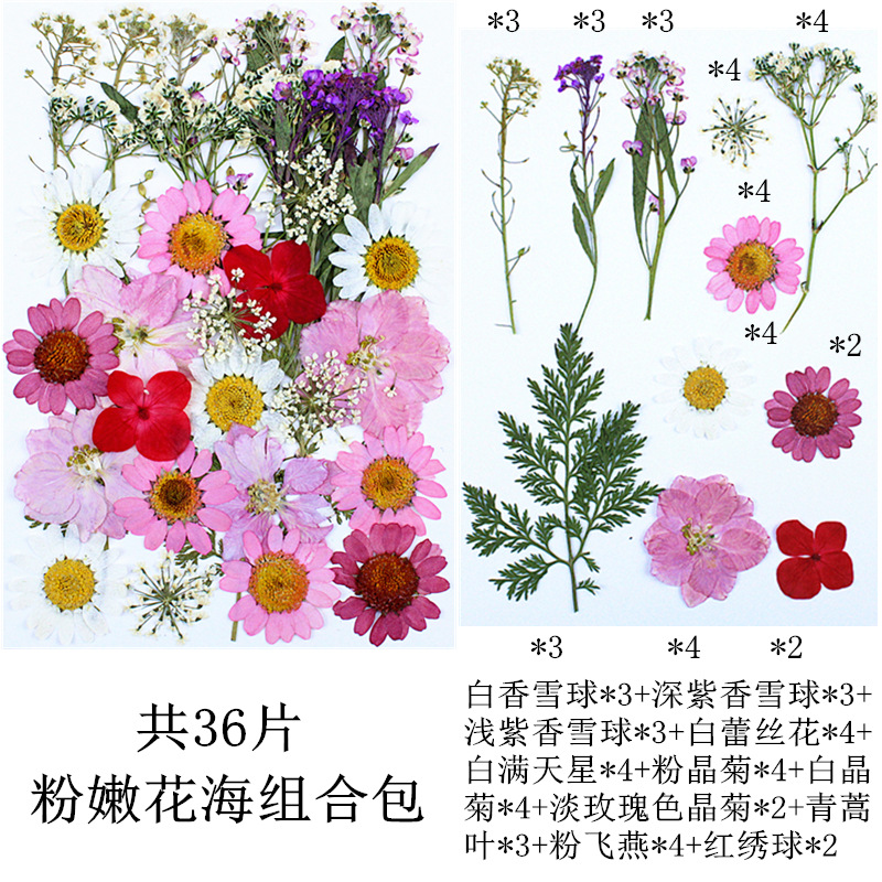 Paquete de material de estampado de flores secas Paquete de combinación de flores presionadas Flor real Hoja de espécimen pegatinas