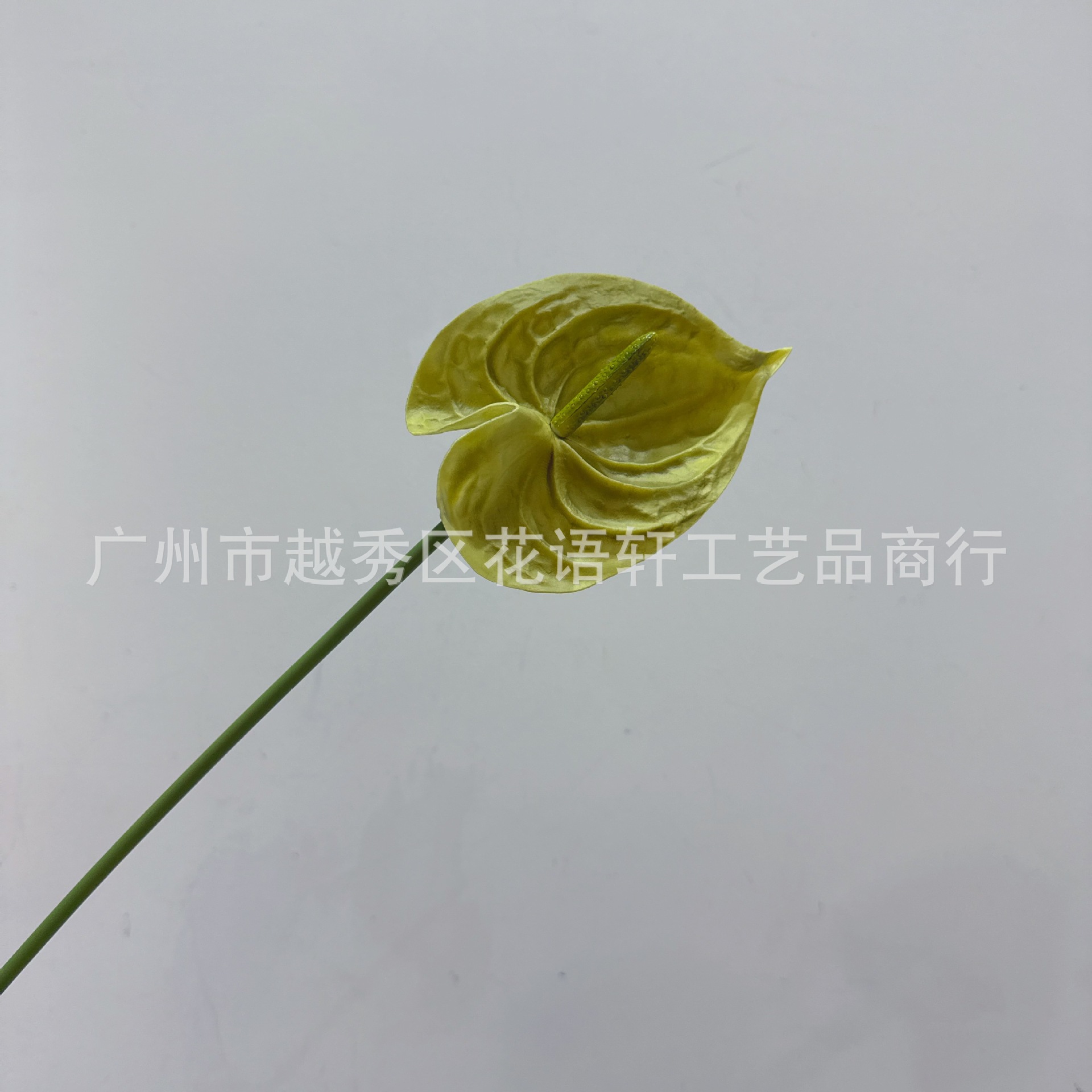 연한 녹색 길이 45cm