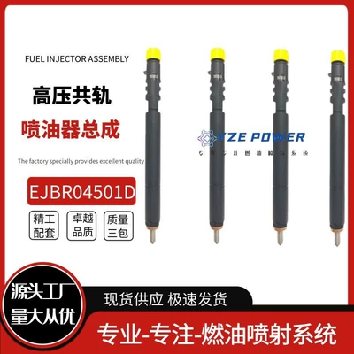 Ejbr04501D Fuel Injector Is Suitable for the Fuel Injector Assembly of Korean Ssangyong Actyon A6640170121
