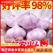 �¸���5������^�N�Ӹɴ���N�Ѻ������l���r�߲�2/3/10����Ƥ��