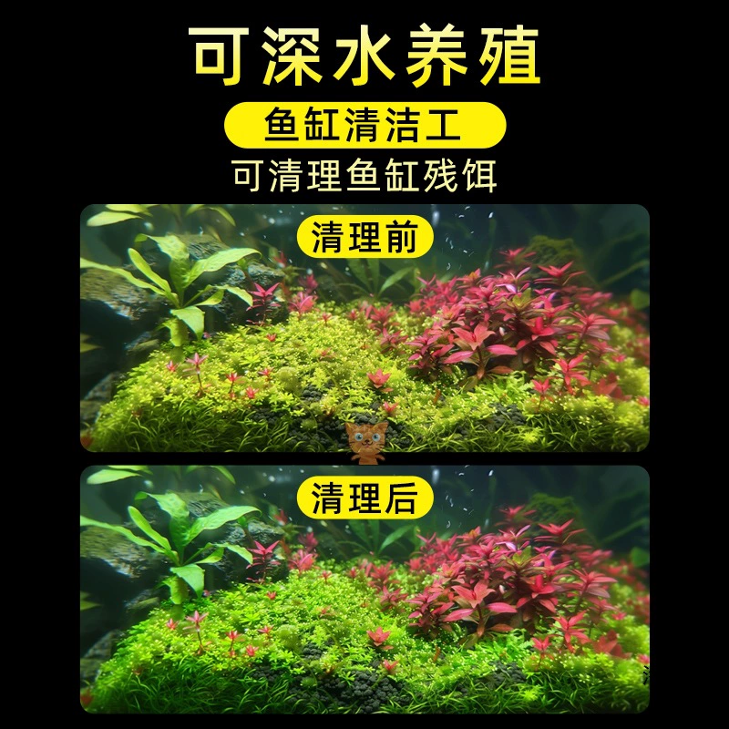 Миничилийсковая жареная крабовая ornamental Fish Hermit Crab Подводная маленькая водорослеедка Малый Краб Романтическая креветка