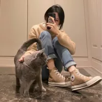 Низкие кеды (Converse) хаки, ткань, унисекс, повседневные, размеры 35–44