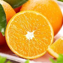 �M��Ě��Ě�����rˮ���Fժ10������M�ݳ���