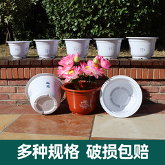 塑料花盆廠家批發荷花盆 水培花盆園藝種花盆 加厚圓形無孔花盆