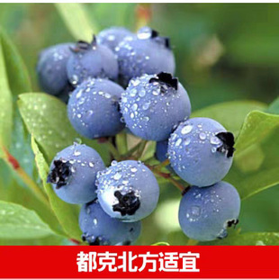 �{ݮ����玧�����������̨ͥԺ�ش�ˮ�������ϱ����Nֲ����Y��