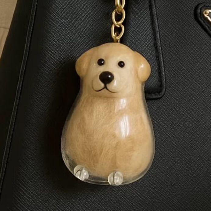 人気の透明でかわいい子犬の毛皮収納ボックスペンダント、高価値バッグペンダント、カプセル記念コレクションペンダント|undefined