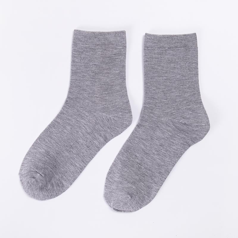 암컷 회색