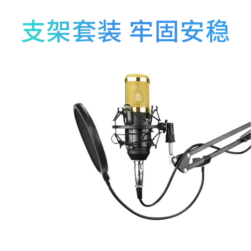 有線800マイクk歌コンデンサー麦サウンドカード生放送設備ゲーム音声コンピュータコンデンサーマイク|undefined