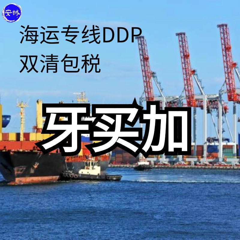 中国到牙买加的海运 物流运输 海运专线DDP 中国到牙买加专线到门