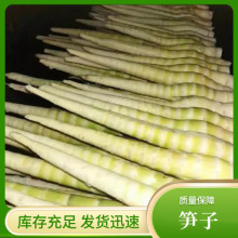 新货小竹笋干四川特产农家自制小笋尖脆嫩笋干小笋干干货散装