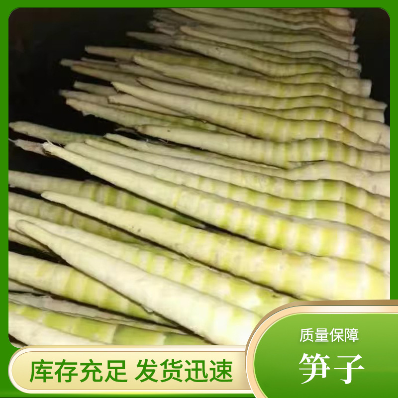 新货小竹笋干四川特产农家自制小笋尖脆嫩笋干小笋干干货散装