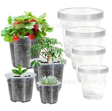 跨境4/5/6/7英寸透明育苗盆带排水孔塑料植物花盆萌牙种植盆