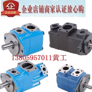 HONGYI叶片泵20VQ2A 20VQ3A-1A30R 1B30R 1C30R 1D30R 151