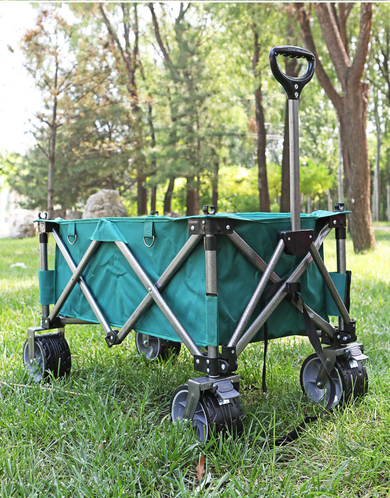 cfcd710d-71c6-43ec-9885-5d13650731d0.jpe