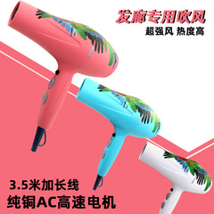 Factory Wholesale Hair Dryer Salon-Specific Salon High Power Ionic Hair Styling Silent Hair Dryer