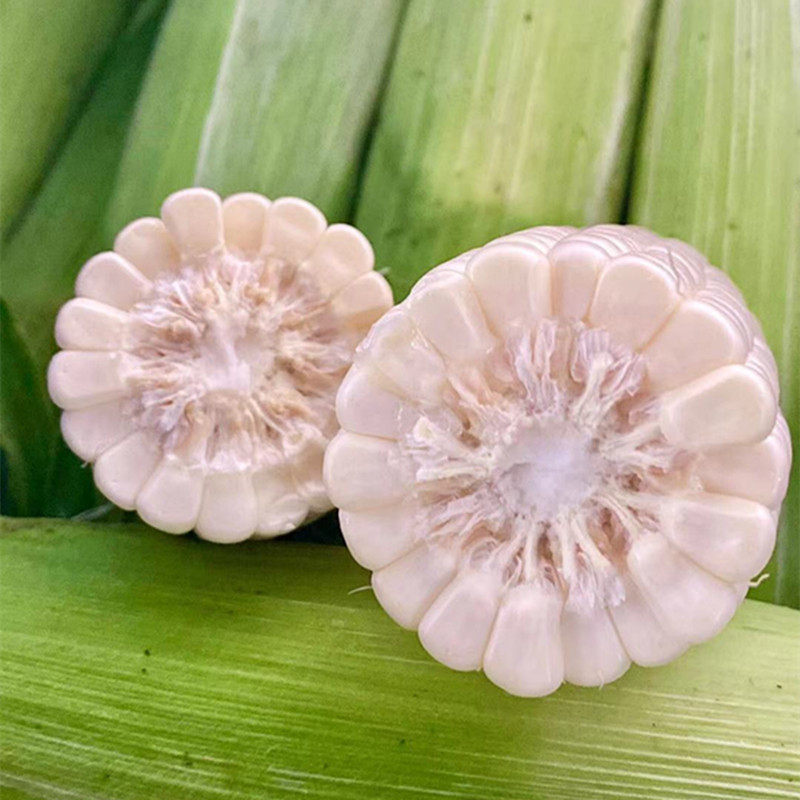 277a129b4a4c70a7d6b6bc6bb49fa5