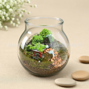 High Borosilicate Transparent Hydroponic Plant Moss Ecological Bottle Creative Fish Tank Gift Ornament Glass Micro-Landscape Glass Bottle
