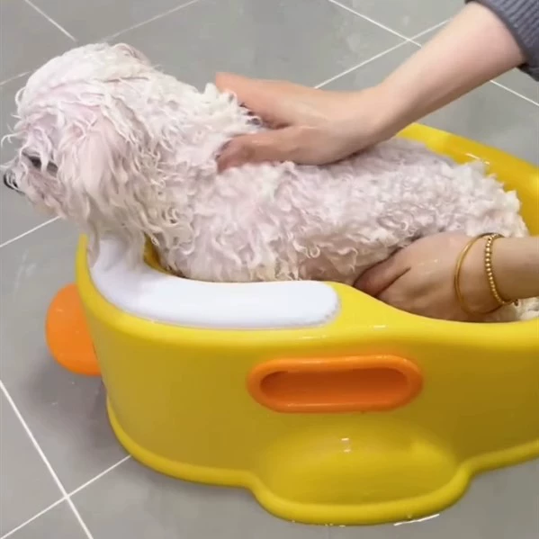 Маленькие домашние животные тазики в ванне для домашних животных