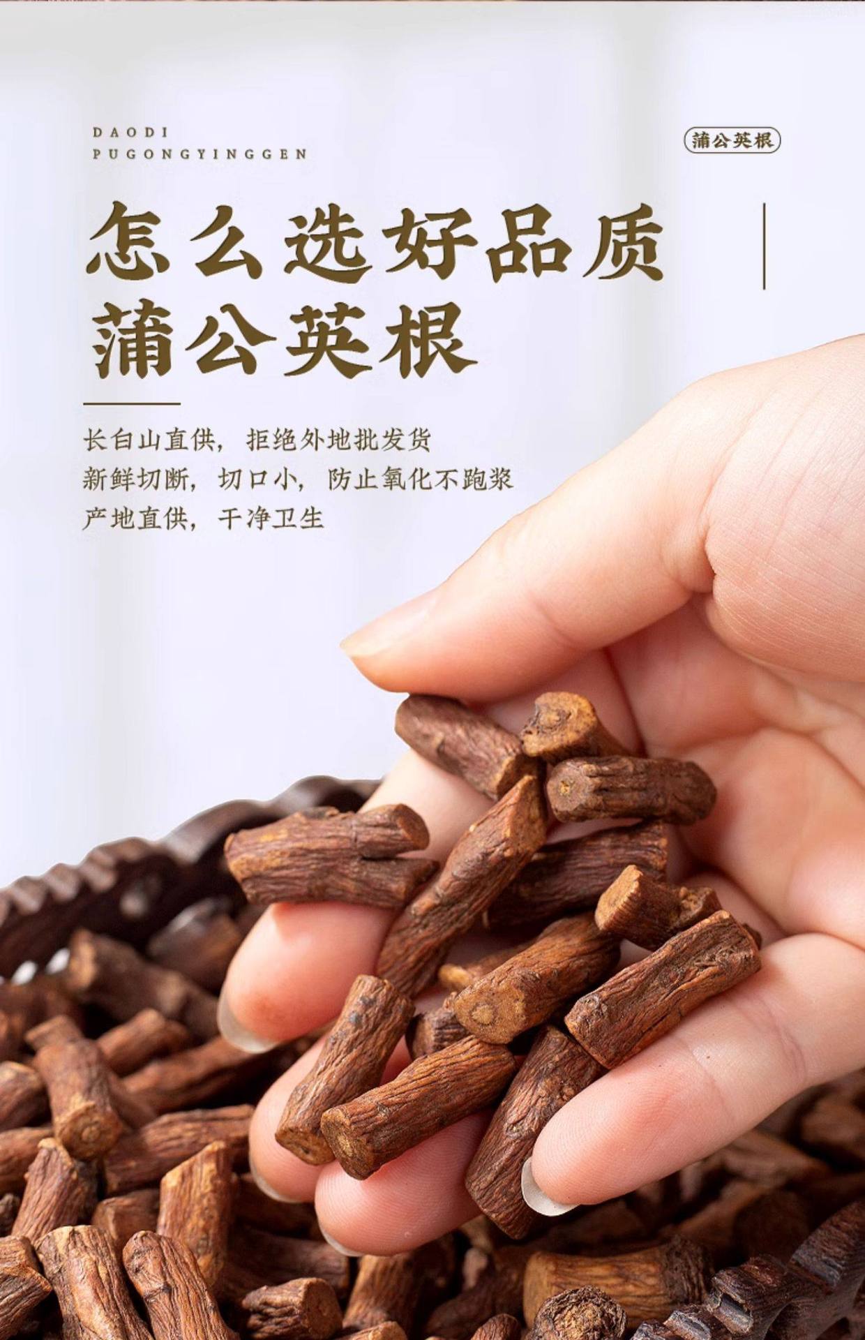 Premium Dandelion Root Dried Herbal Tea 250g Jar Chinese Pugongying Gen Wellness Infusion overview
