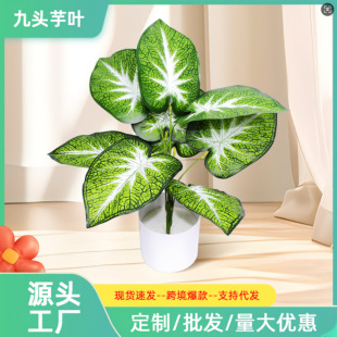 �S��ֱ������ֲ����^���~�k�����[�b����������~��ֲ��Gֲ�[��