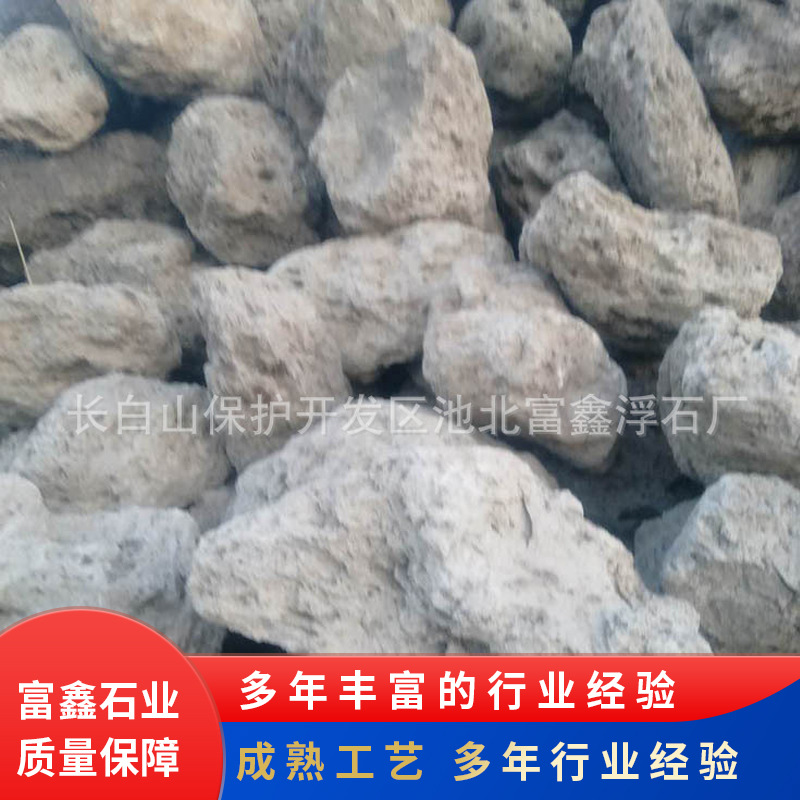 6-10mm植被保湿浮石 轻石颗粒浮石 水族馆造景水草保湿透气浮石