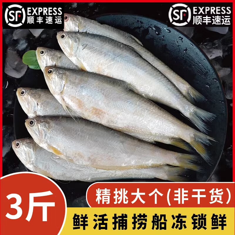 十里馋非干货赣榆新鲜黄鲫子黄鲫鱼油炸黄尖鱼烤子鱼海鲜特产油扣