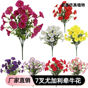���栿ţ���ȼ����ѻ����滨���_�m�������컨�羳���R�d����@ˇ