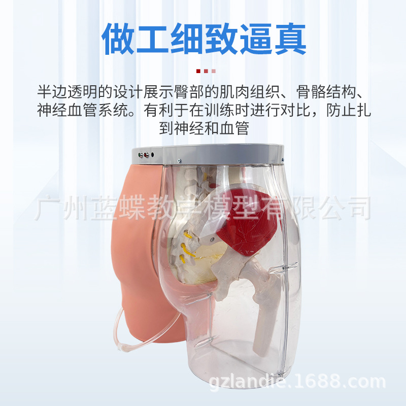 �β�����ע��͸���Ա�ģ��͸����Ѫ�����մ�����̵ƹⱨ��ϵͳ