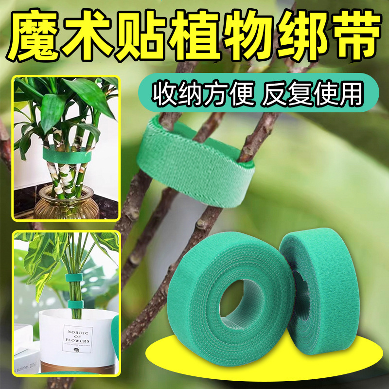Green Plant Straps, Double-Sided Self-Adhesive Back-To-Back Straps, Garden Climbing Vine Shaping Straps, Velcro Green Plant Straps Green Plant Straps, Double-Sided Self-Adhesive Back-To-Back Straps, Garden Climbing Vine Shaping Straps, Velcro Green Plant Straps