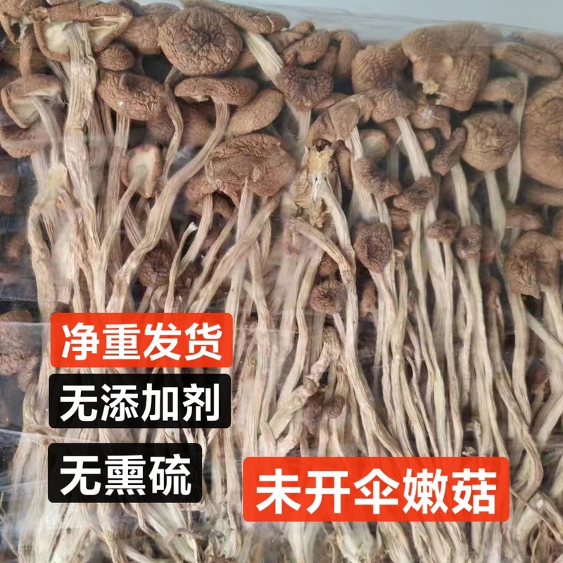 新高山茶樹茸乾物、硫黄不使用椎茸スープの素、業務用開封バルク大袋卸売キノコ|undefined