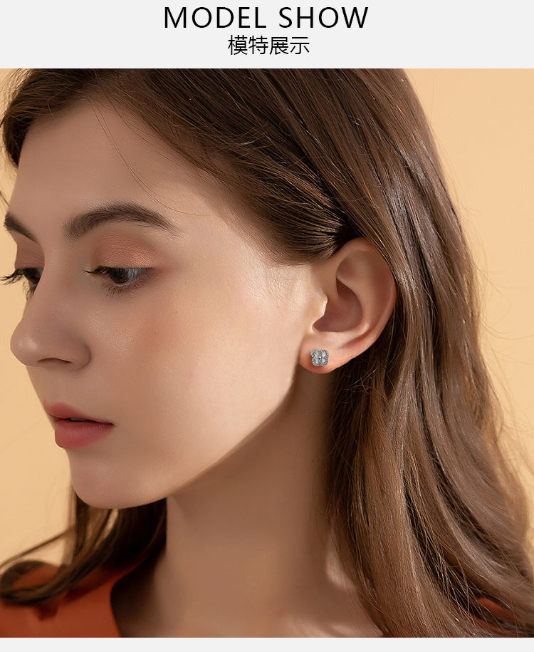2021 New High-Grade Ear Bone Nail Micro-Set Earring Ins Net Red Joker Earrings Exquisite Earrings Wholesale detail image 9