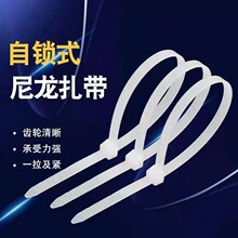 ���������������S�Ҙ˺����x���M�����Q��Ҏ���Rȫ