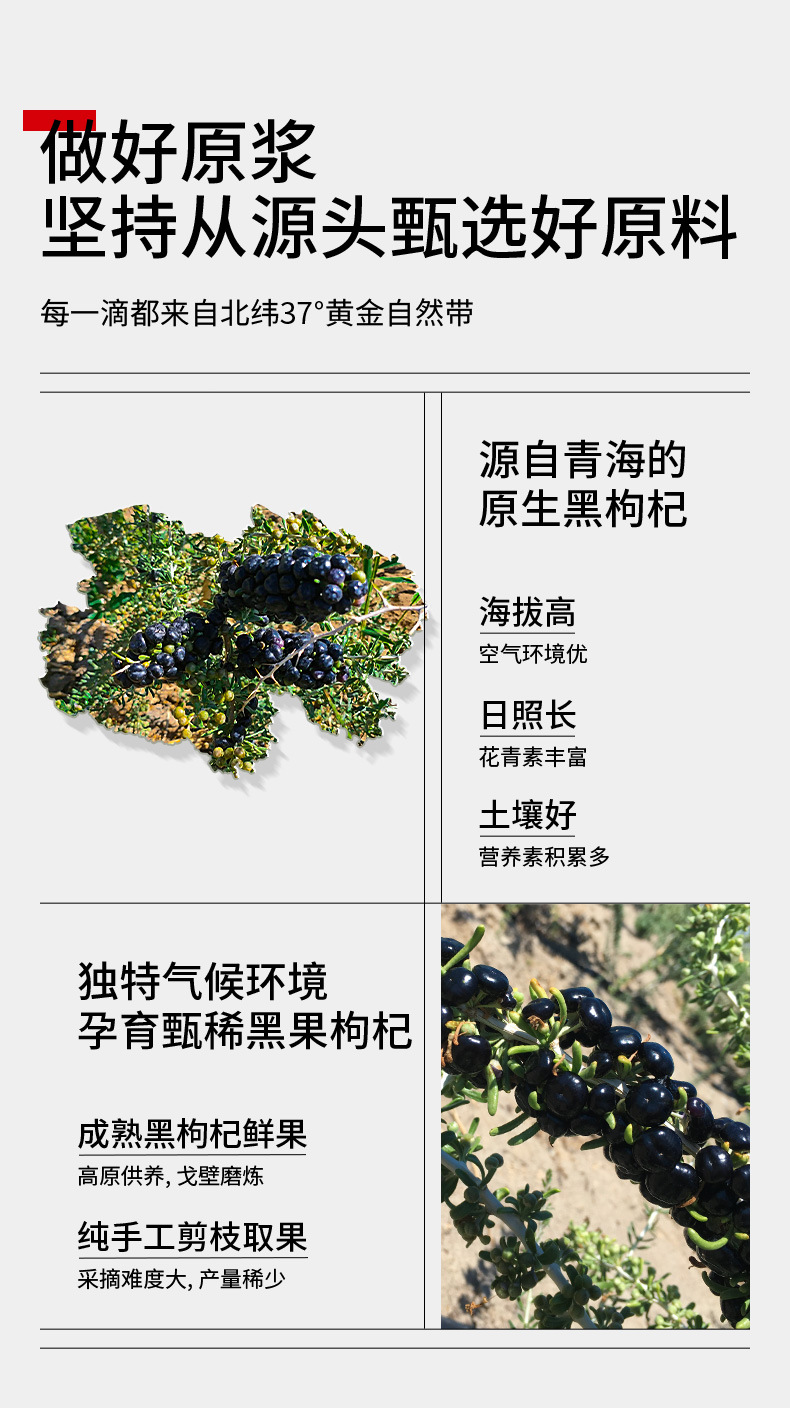 Black Goji Berry Puree Drink 300ml Ready to Drink Cold Pressed Ningxia Black Wolfberry Juice quality and texture