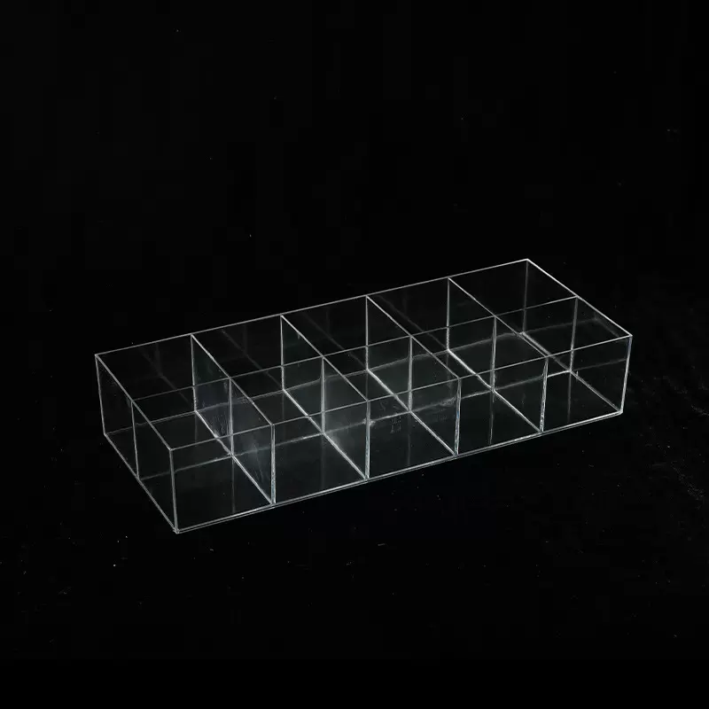 ps大号10格无盖塑料收纳盒 透明首饰展示装药盒 多用途储物盒