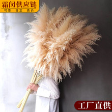 �W�t��Ȼ�JȔ�ɻ���Ȕins�p�ݴ�����滨���n�L�r�КW�����W�L��