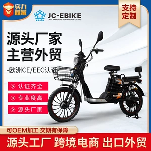 Large Tire Electric Bicycle Adult Two-Wheeled Electric Commuter Bike