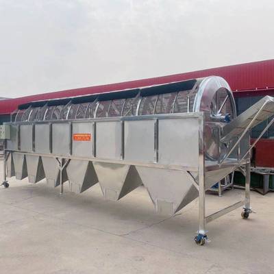 Xinjiang Jujube screen classifier machining Yield Uniform grading machining customized