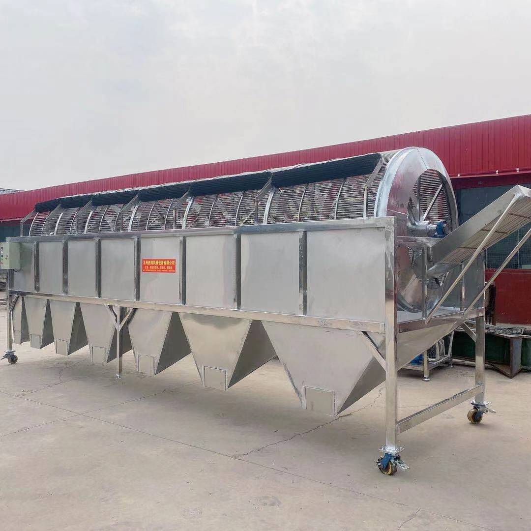 Xinjiang Jujube screen classifier machining Yield Uniform grading machining customized