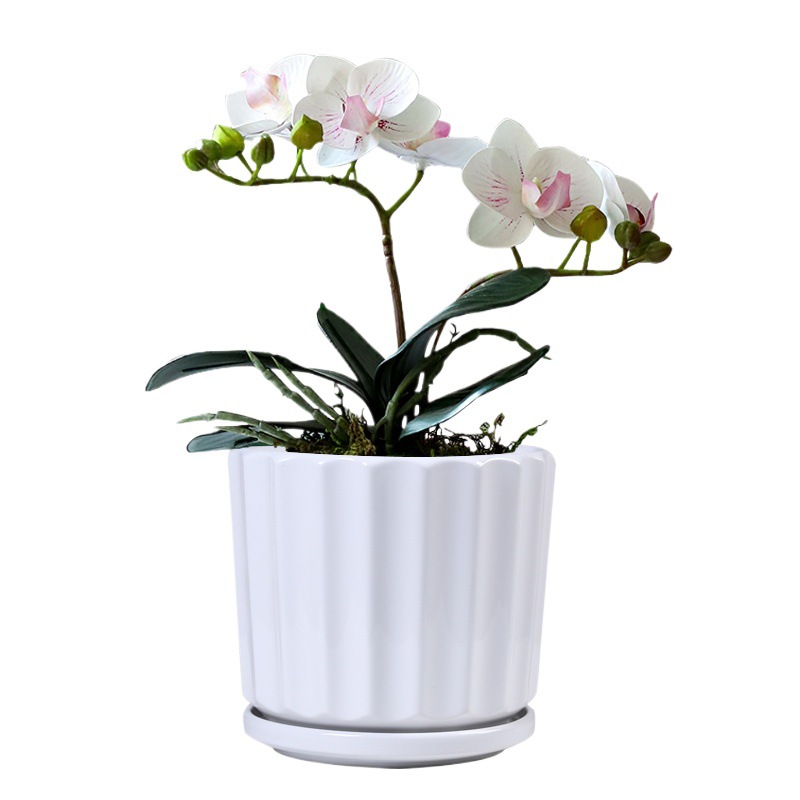 Pot de cerámica blanca simple gran tamaño mediano pequeño bandeja de cinturón personalidad doméstica orquídea colgante verde carne