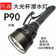 新型潜水懐中電灯p90大光カップ大出力遠射led強光水中深海漁海老蟹作業灯